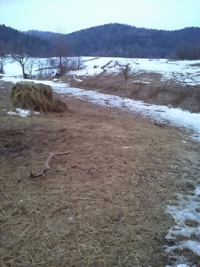 210,8cic -2015 spomienka