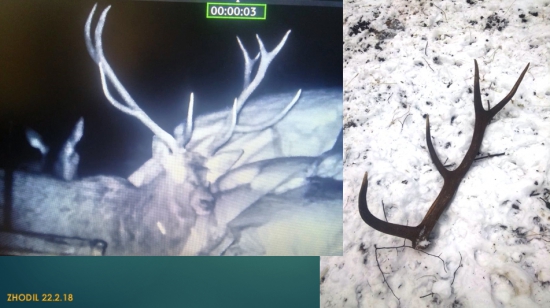 MOJ KAMARAT NEPR.12.