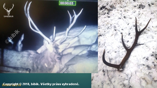 MOJ KAMARAT NEPR.12.