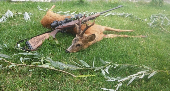 Ivetkin srnec zo Slatiny