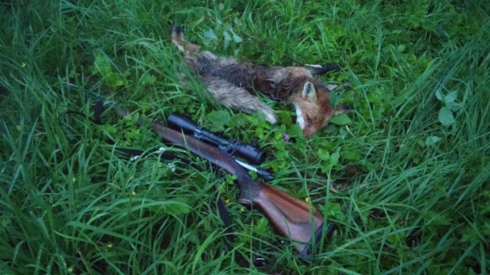 nechal ma vystrelit.