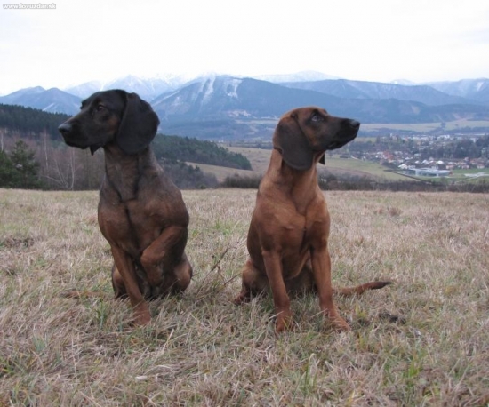 uz sa na teba nepozrem