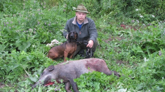 zadarilo sa  lanstiacika najst..