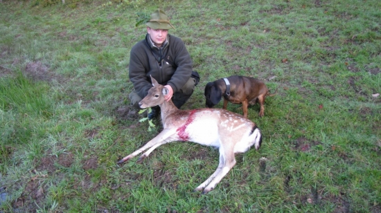 Diana ďakujem  moja prvá.