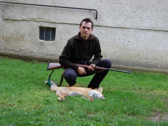Mladý lišiak