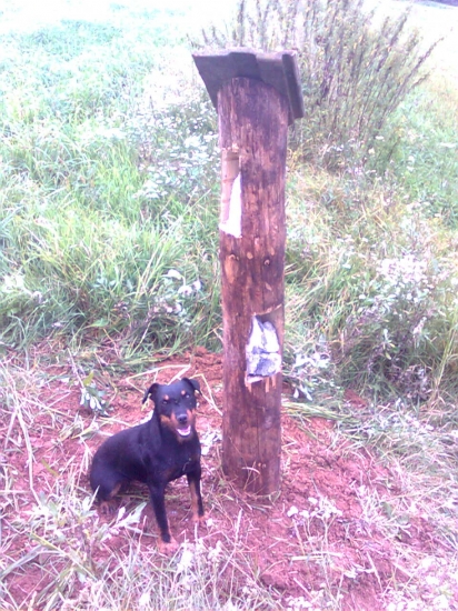 Oddaná pomocníčka!