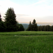 lúčka