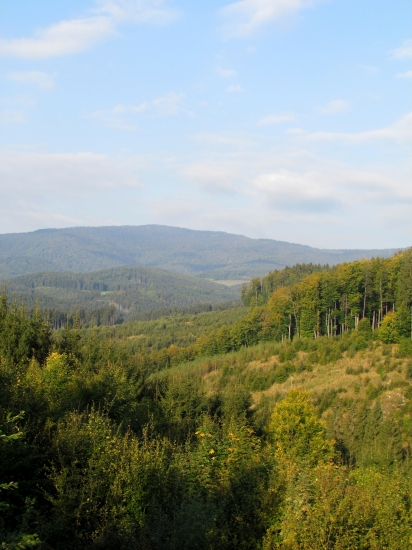 Obľúbené.