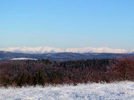 Dnešná prechádzka.