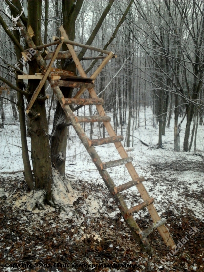 včerajšia práca