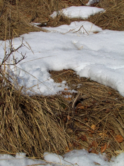 a nie a nie čerstvý.