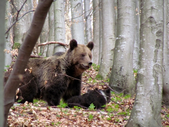 včerajšie stretnutie...