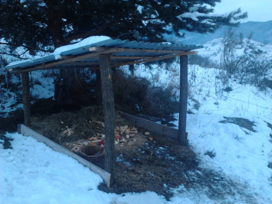 Pre srnčiu a bažanty stačí...