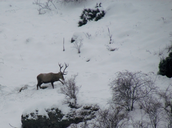 Čas núdze prichádza...