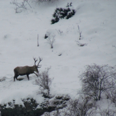 Čas núdze prichádza...