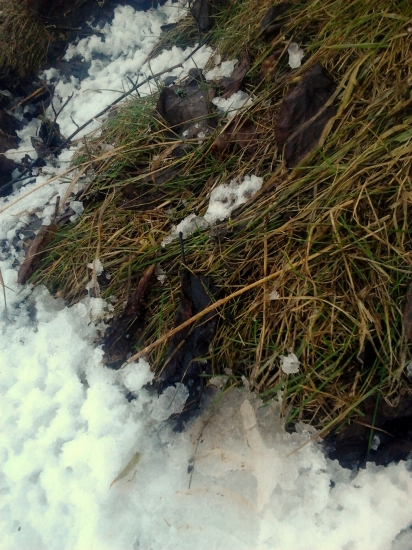 Do páru k ID fotky: 189011