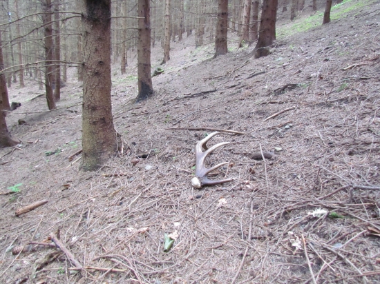 dnešný 12toráčik