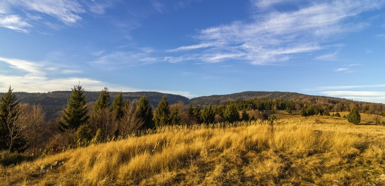 Poľana