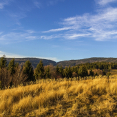 Poľana