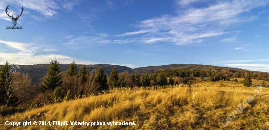 Poľana