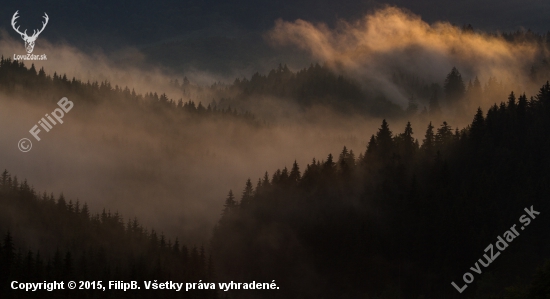 divočina
