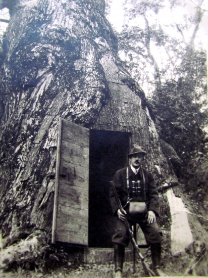 Prastarý otec pri prastarom dube..