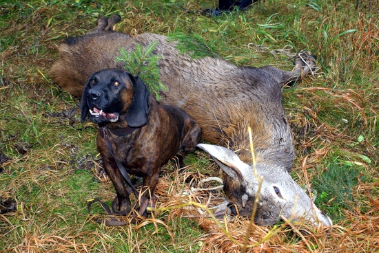 Po úspešnej dohľadávke