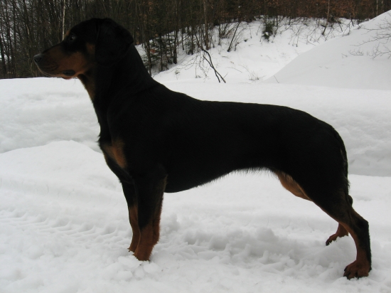 ELA včerajša prechacka