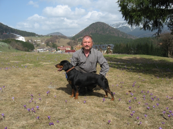 Prestavka na Donovaloch