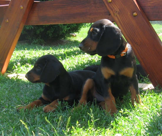 Posledné spoločné foto