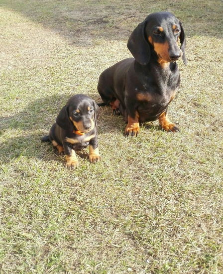 Matka a dcéra -z lesov Horehronia