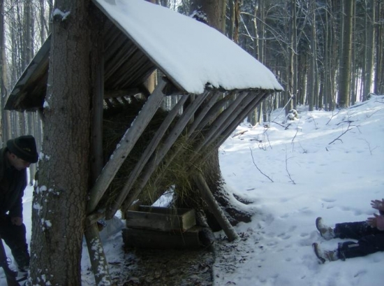 Boli sme vyniesť vytamíny.