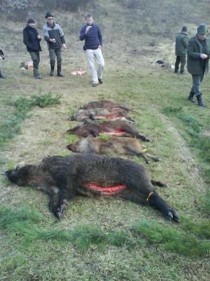 Spoločná na Štefana