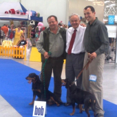 moja chovná stanica Vyšné,Aron-CAC,CACIB,BOB a Eange