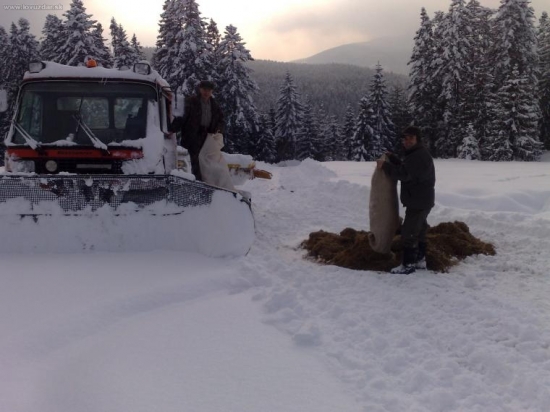 prehŕňali sme aj prístupové cesty