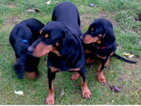 Aron,Dara-matka,Angie