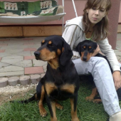 Aron,Angie,Dara oddychuje