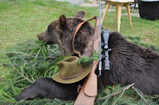 všetko má svoju postupnosť