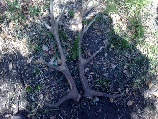 este stale ich je dost...