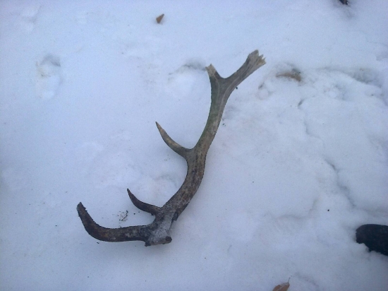 neskoro najdeny ale predsa