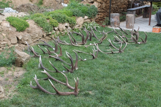 tohorocne aj minulorocne