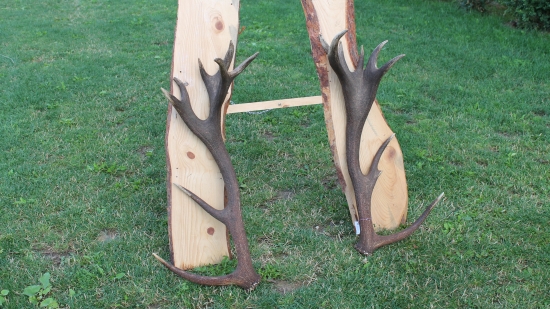 po 3 mesiacoch dopareny