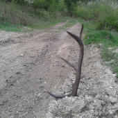 včerajší