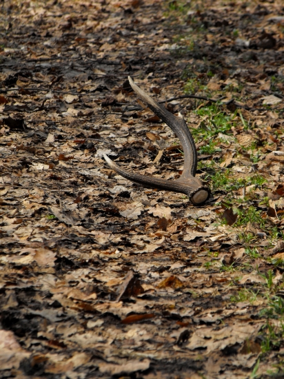 prvý pohľad...infarktové stavy