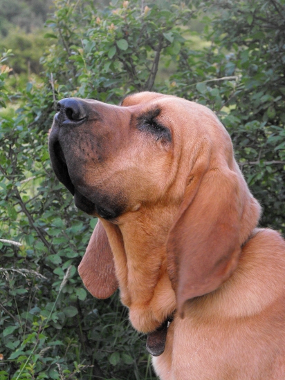 cítim niečo vo vzduchu