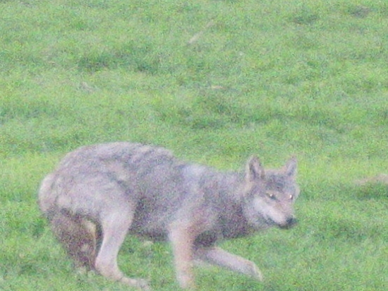 Dokumentačna...veľka škoda kvality