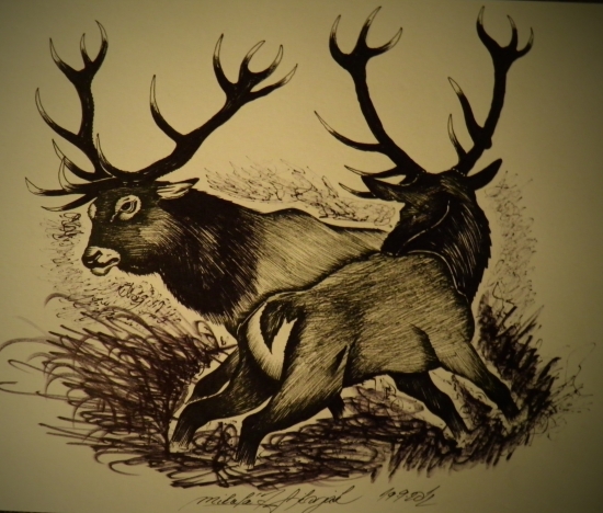 Polnočný súboj :D