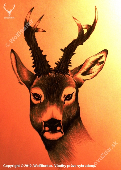 Ceruza A4