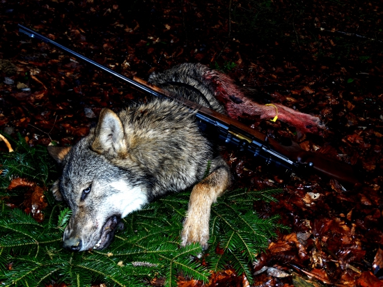 Trofej najvzácnejšia...