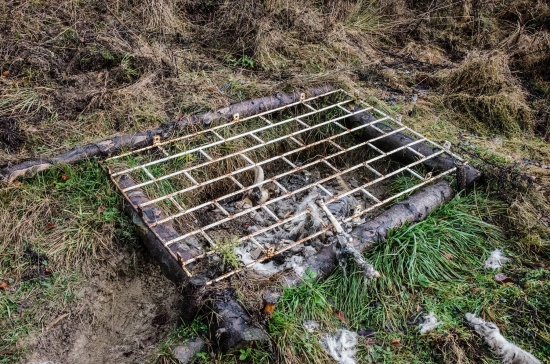 Polská ochrana vlka v praxi fotené dnes 50m od krytej kazatelnice...najdene tri dal